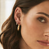 Gilt Nova Studs