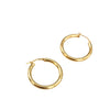 Diana Hoop | Gold