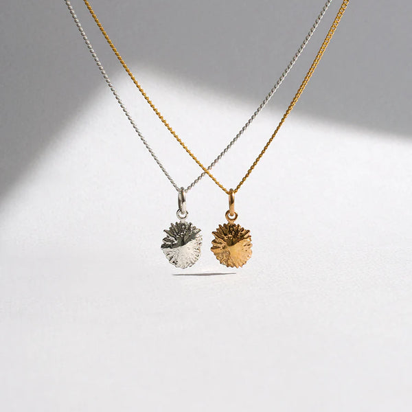 Silver Limpet  pendant