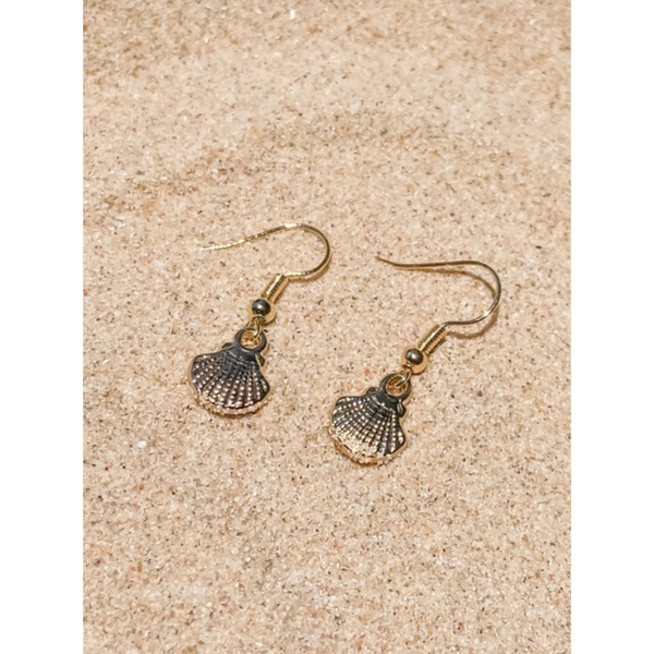 Sea shell Earrings